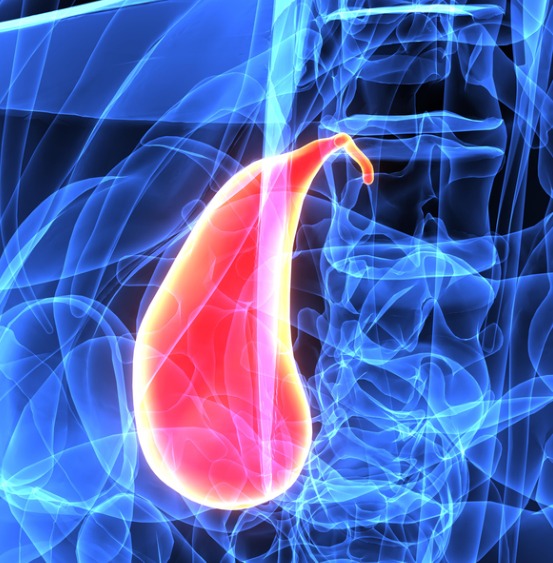 gallbladder-highlighted-in-human-body